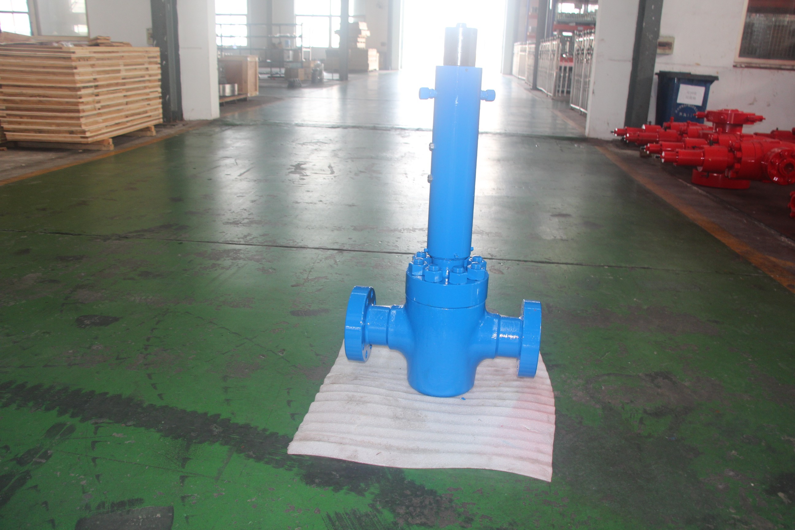 Safety Valve